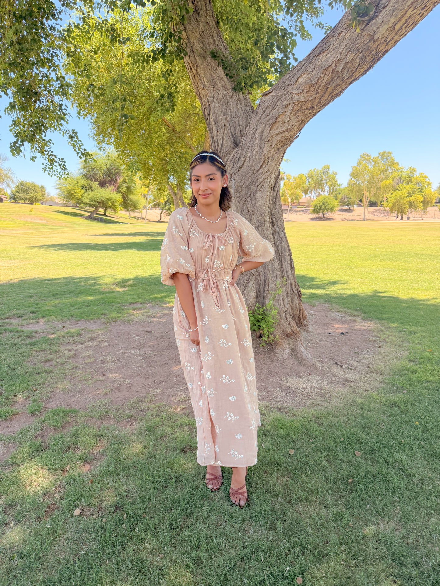 Terra brown Embroidered Midi Dress