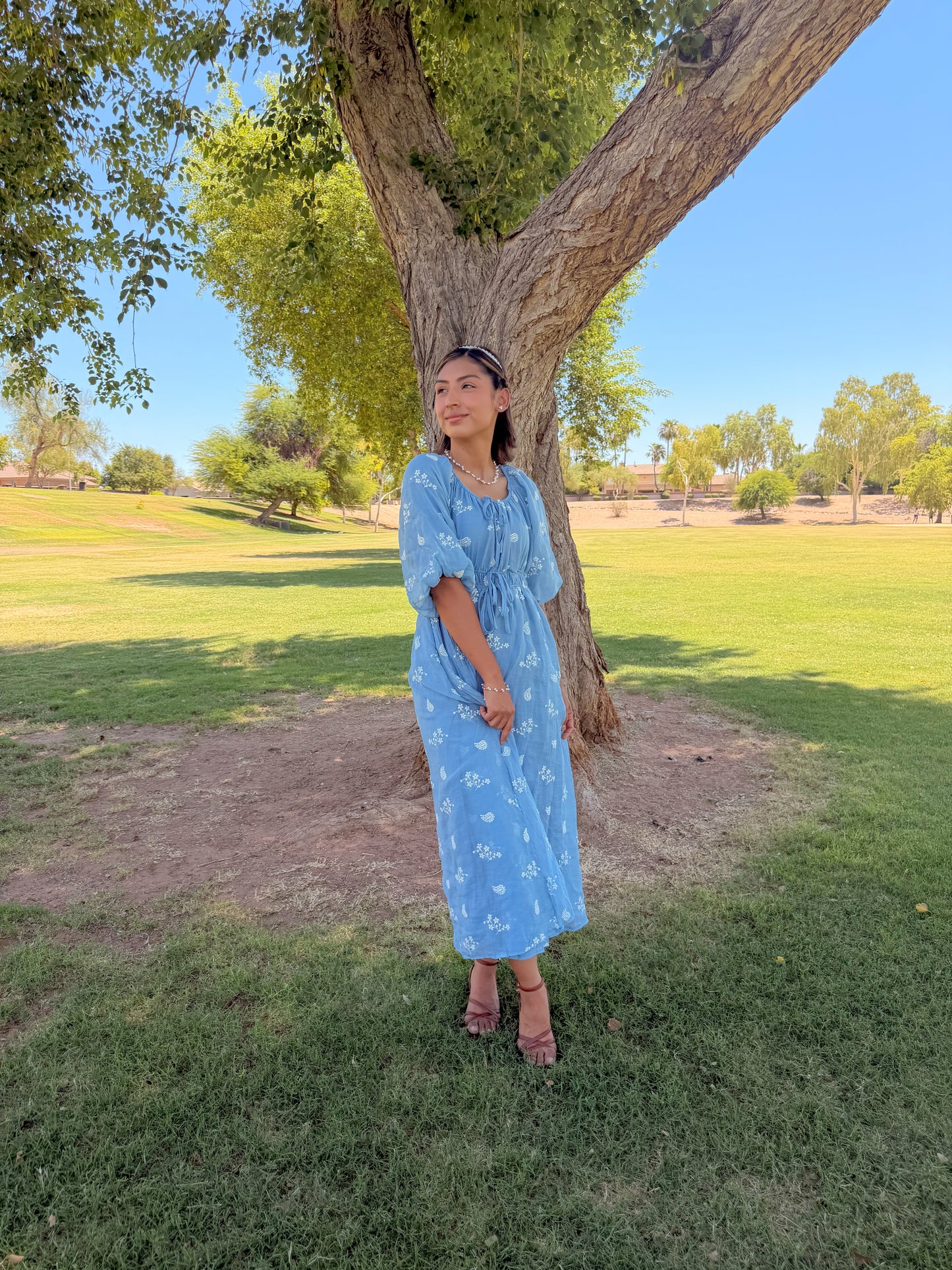 Skid blue Embroidered Dress