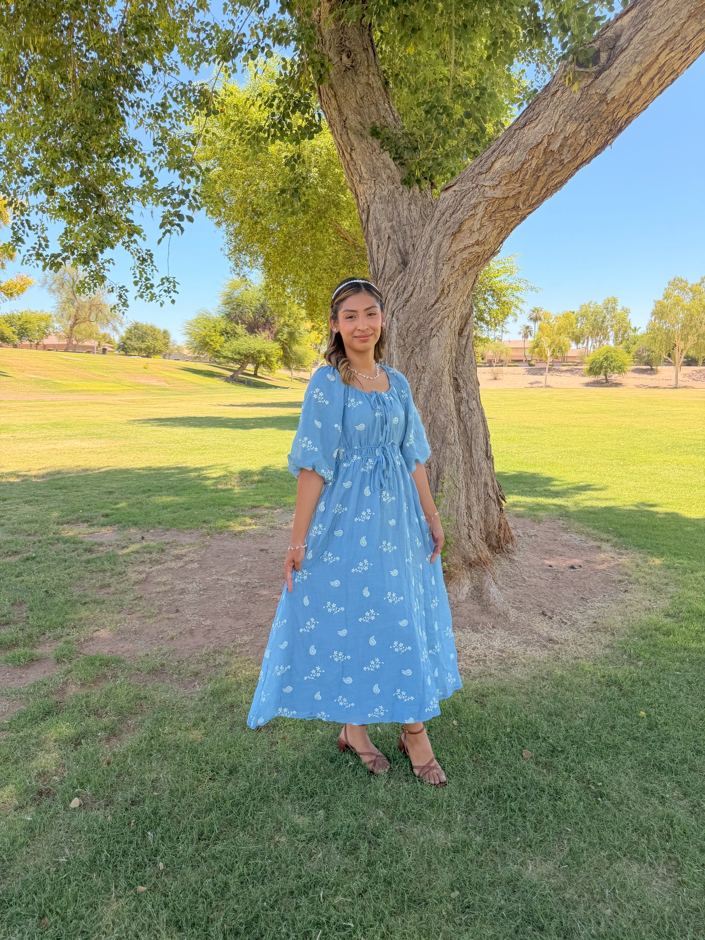 Skid blue Embroidered Dress
