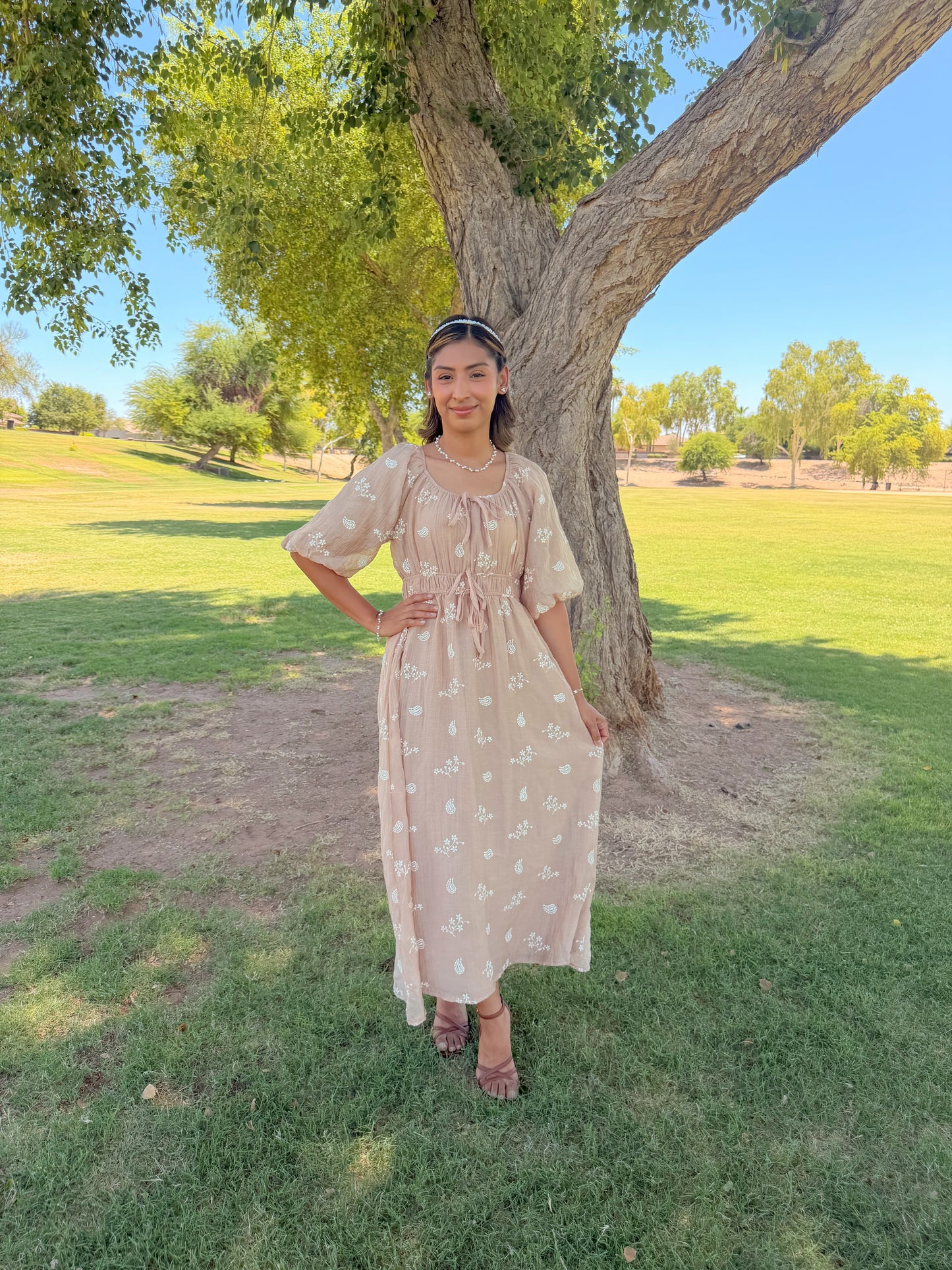 Terra brown Embroidered Midi Dress