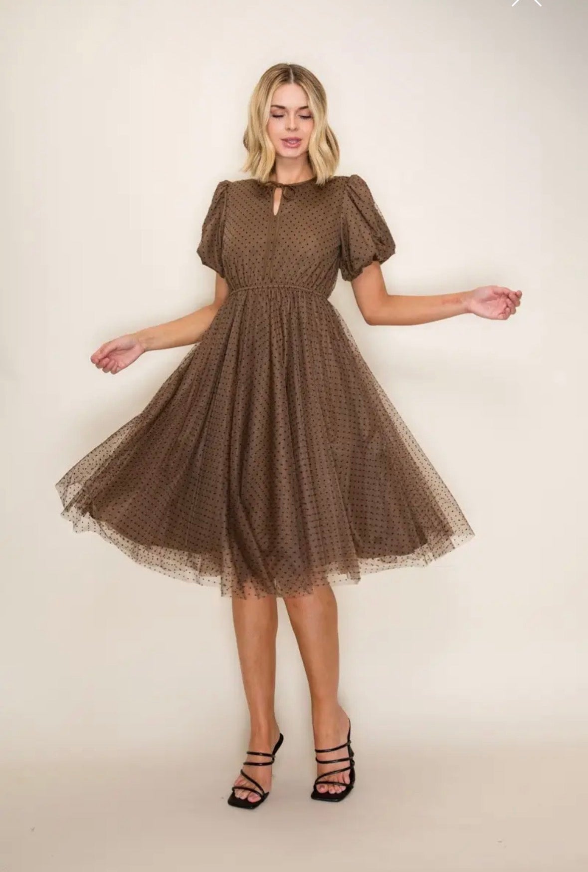 Polka dots Tulle Brown Dress