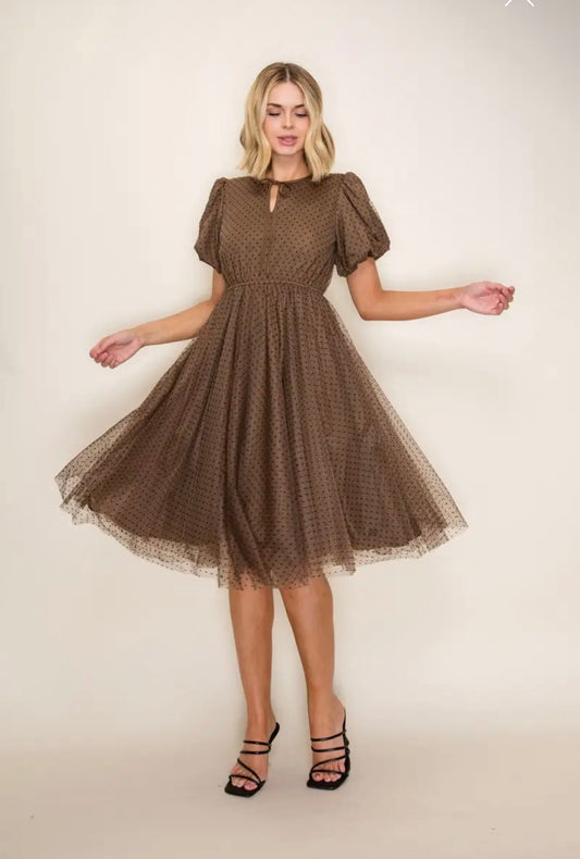Polka dots Tulle Brown Dress
