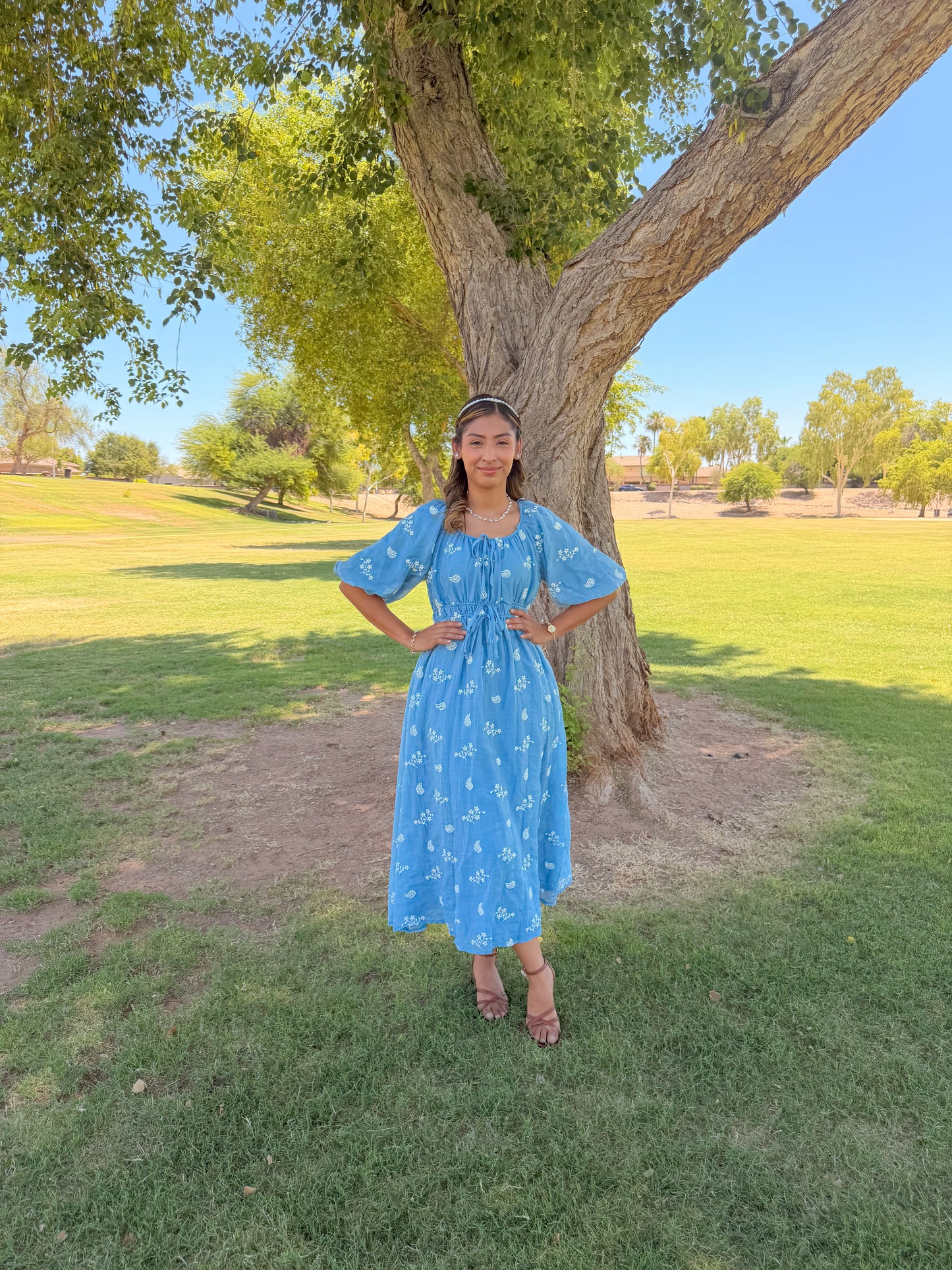 Skid blue Embroidered Dress