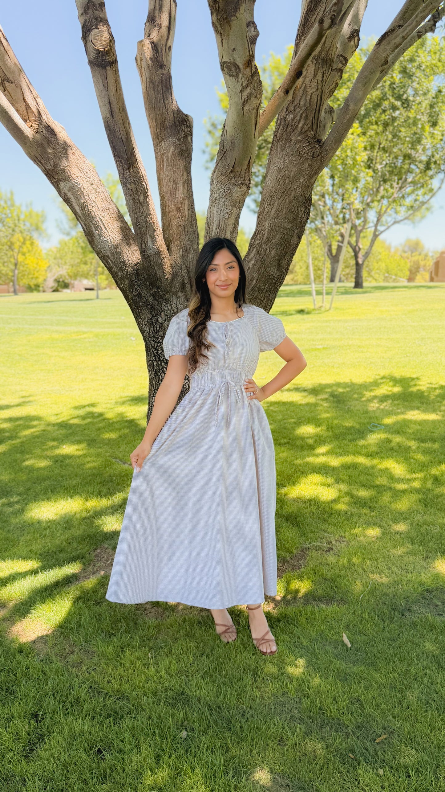 Gingham Brown Midi Dress