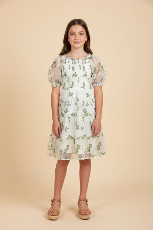 Girls spring embroidered dress