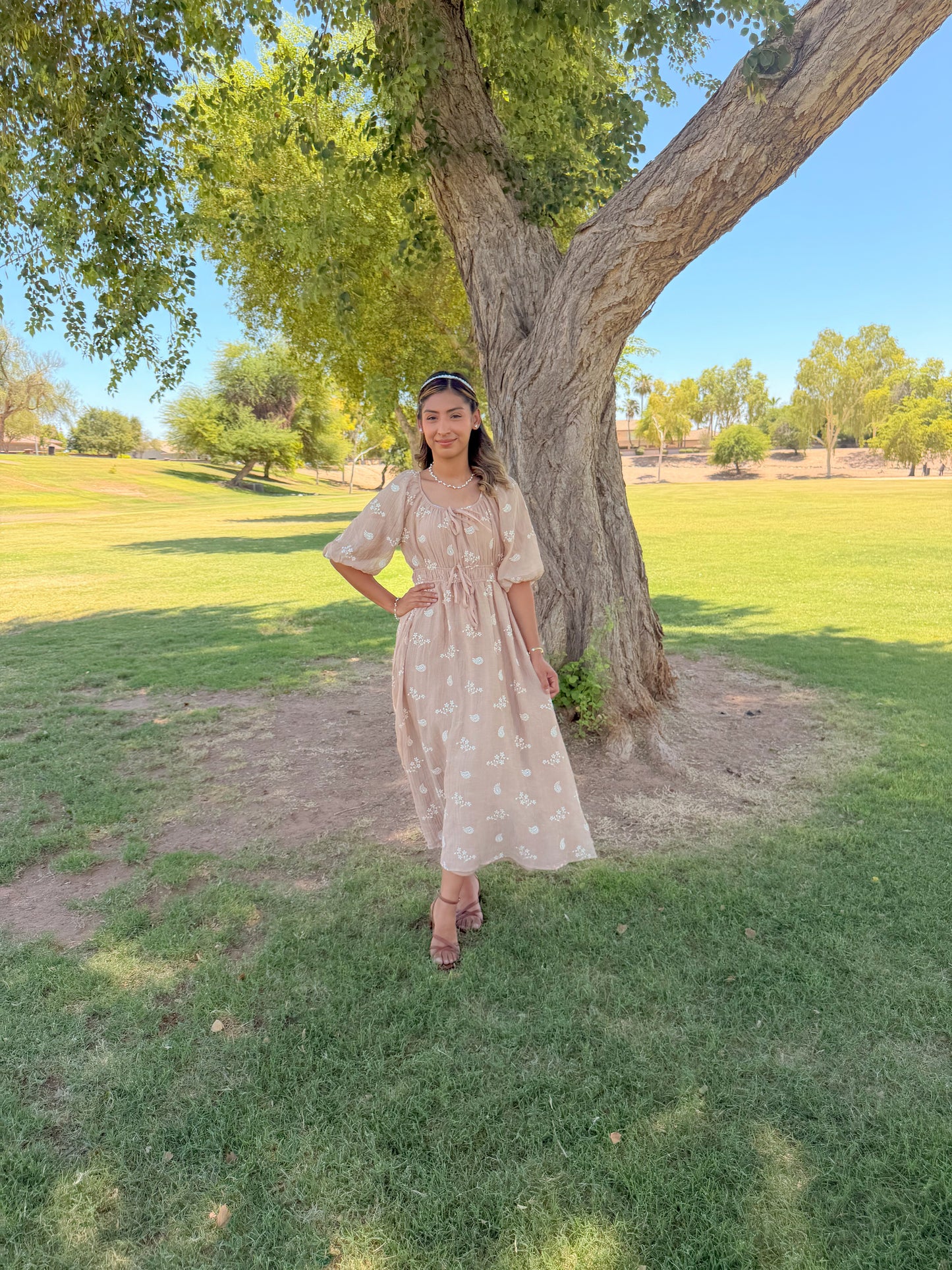 Terra brown Embroidered Midi Dress