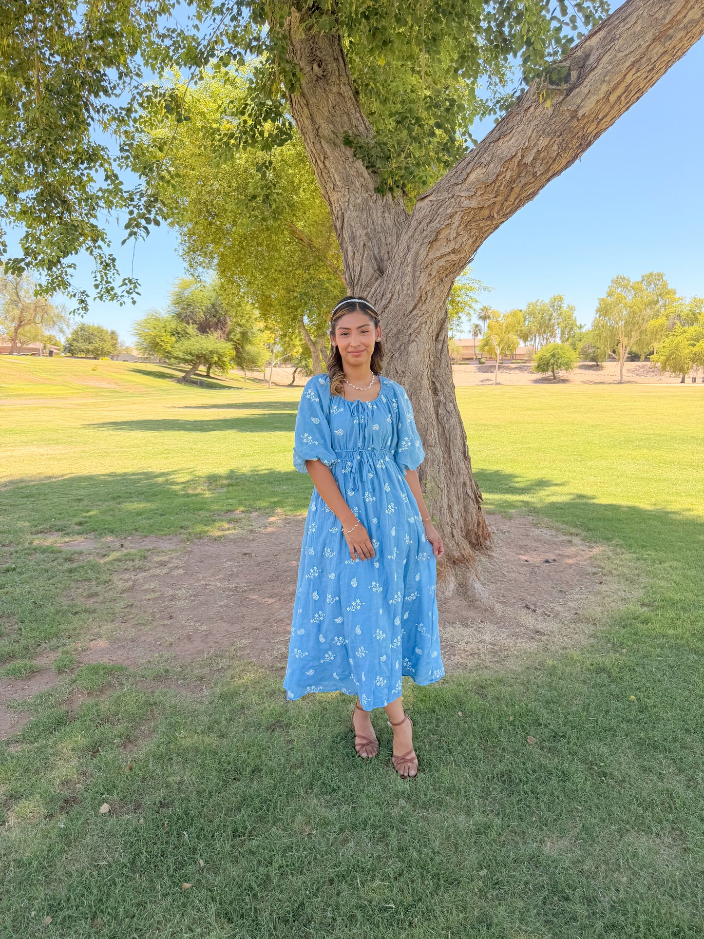 Skid blue Embroidered Dress