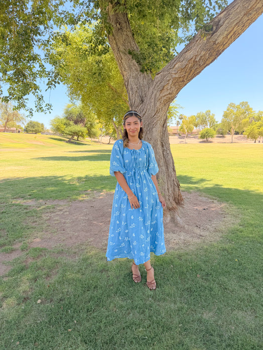 Skid blue Embroidered Dress