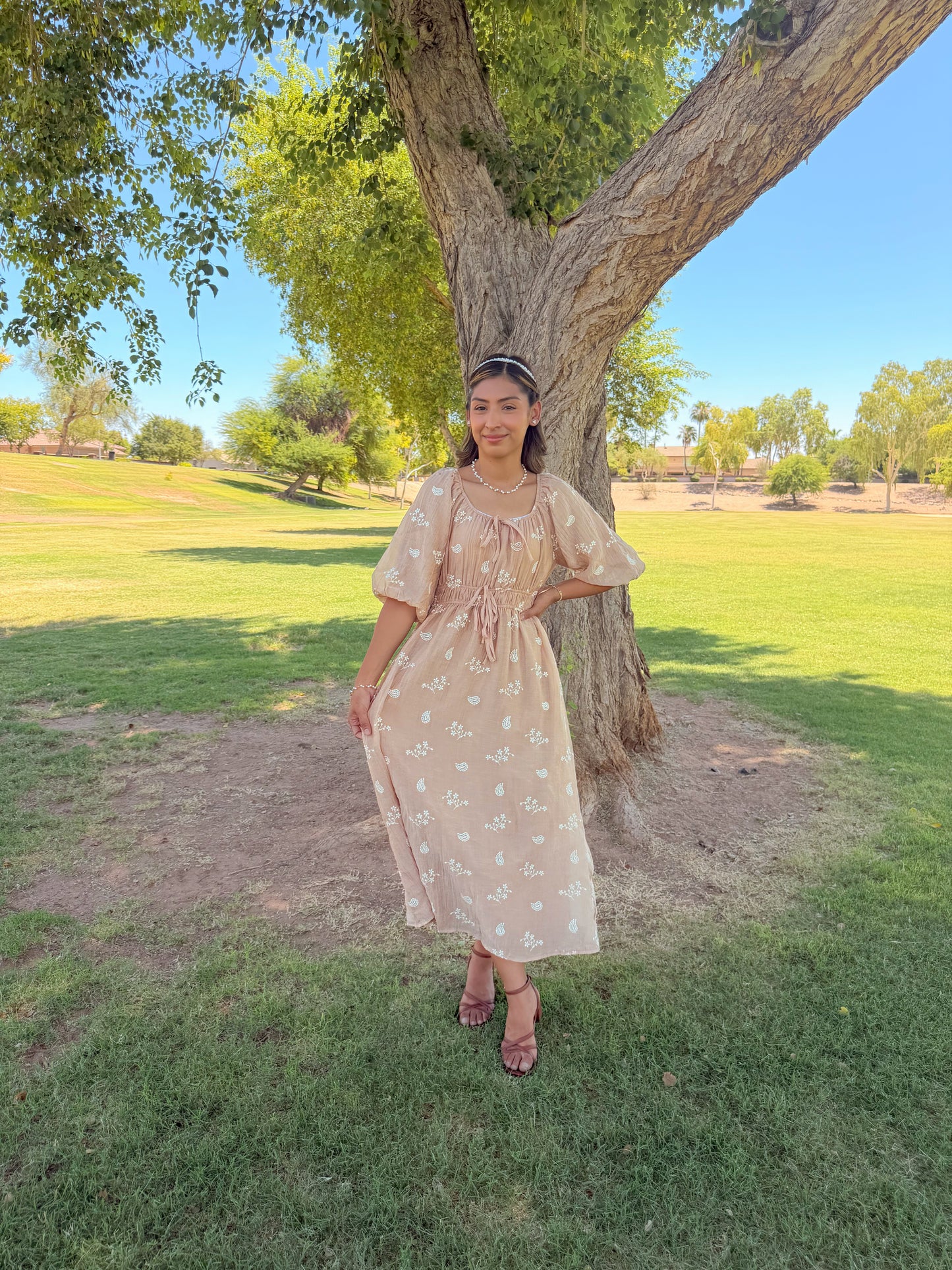 Terra brown Embroidered Midi Dress
